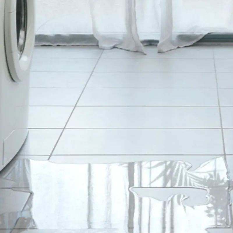 Appliance Leak Cleanup in Four Corners, FL
