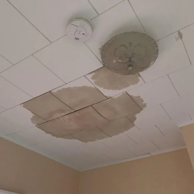 Ceiling Water Damage Repair in Four Corners, FL