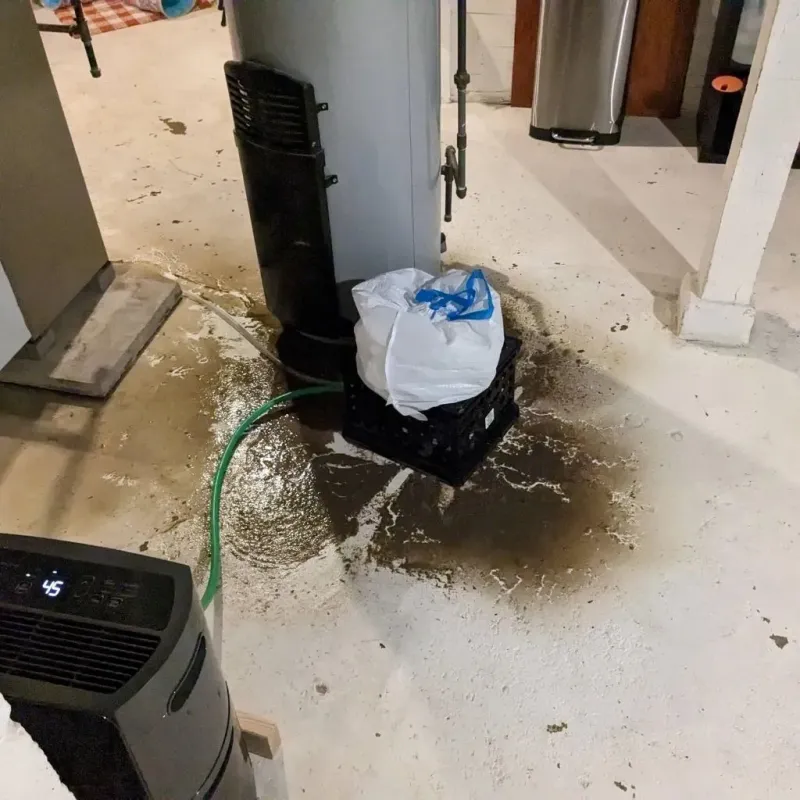 Sewage Backup Cleanup Service in Four Corners, FL